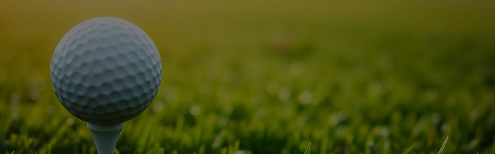 golf2.jpg